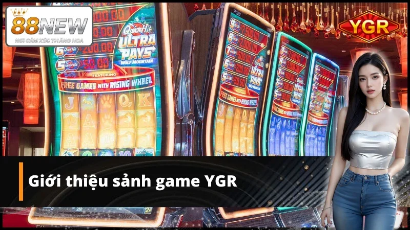 Thông tin thú vị về sảnh game YGR tại nhà cái New88