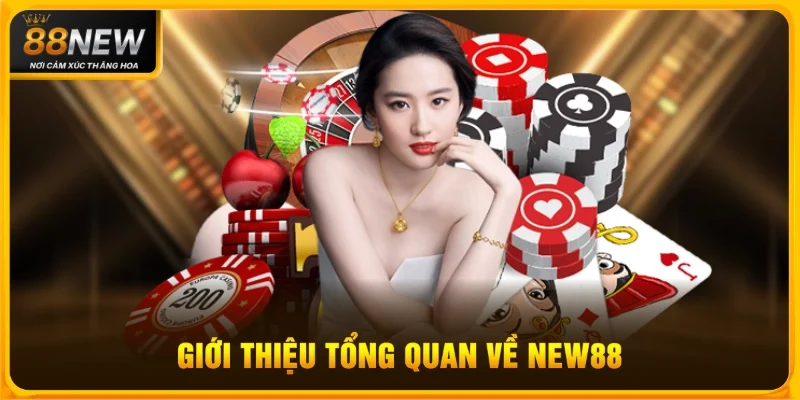 Giới thiệu tổng quan về New88